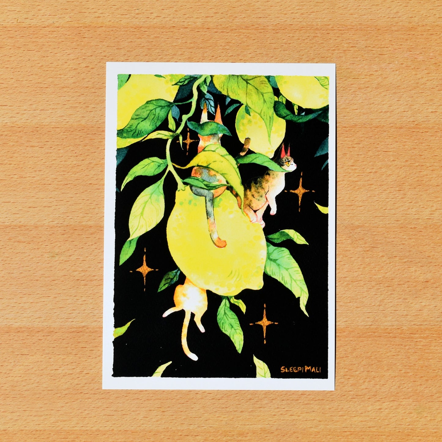 Sourpusses - A5 Print