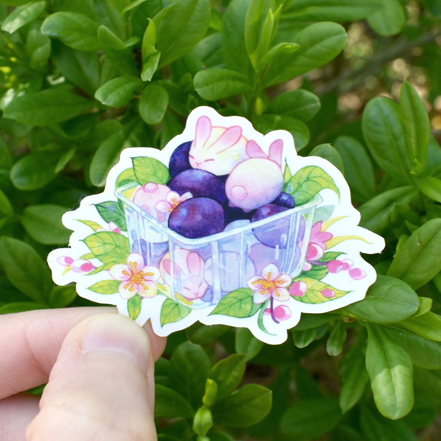 Bunnet of Plums Sticker