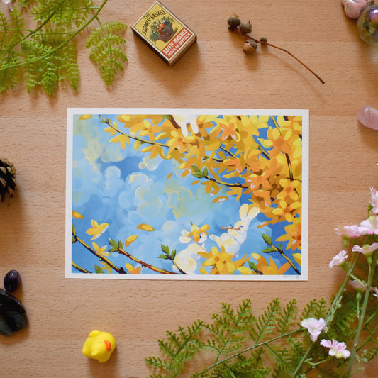 Beloved Forsythia Print