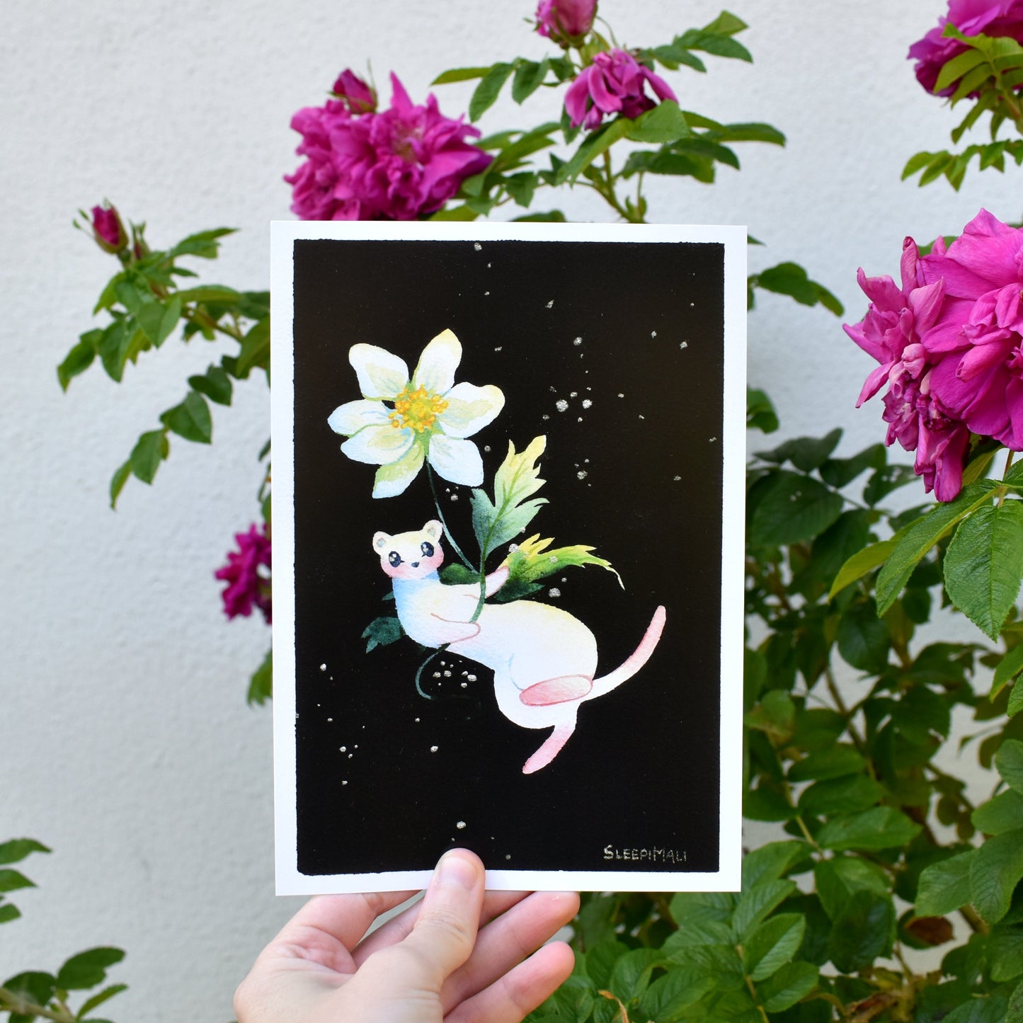 Beloved Wood Anemone - A5 Print