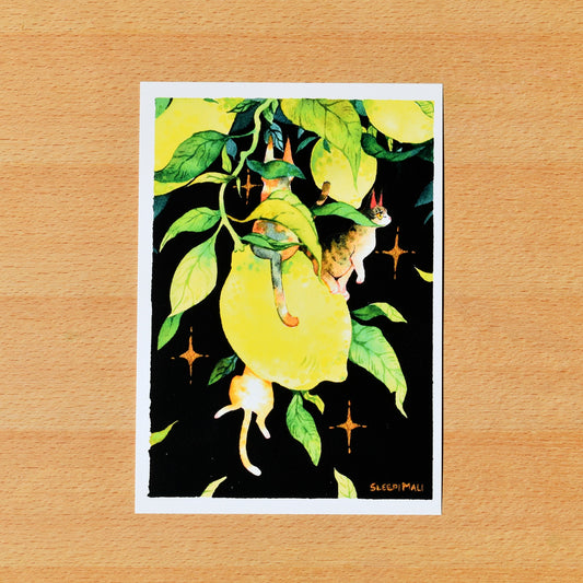 Sourpusses - A5 Print