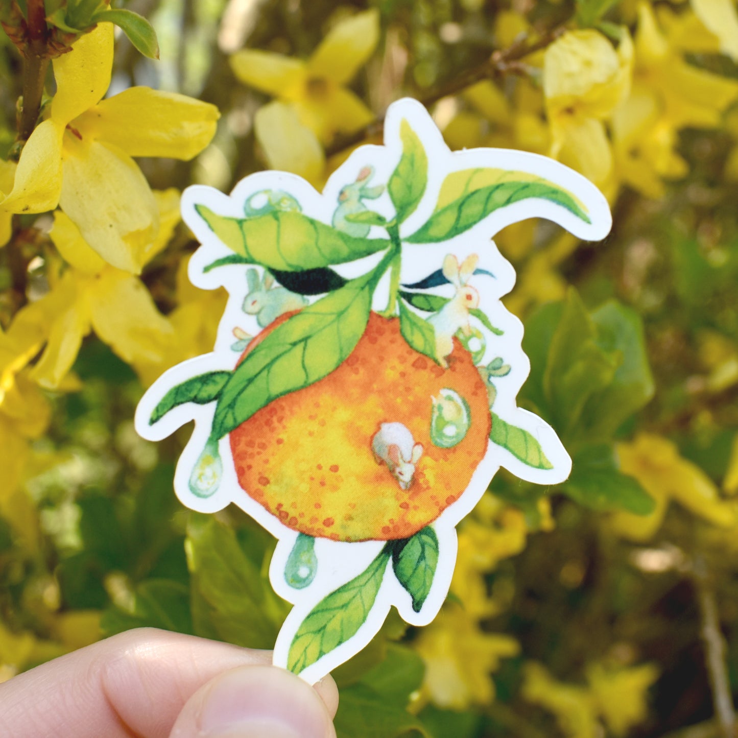 Orange Buns Sticker