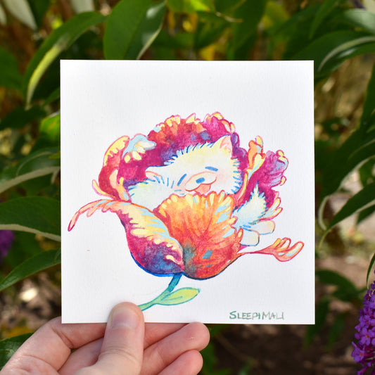 Tulip Nap - Original Watercolour Painting