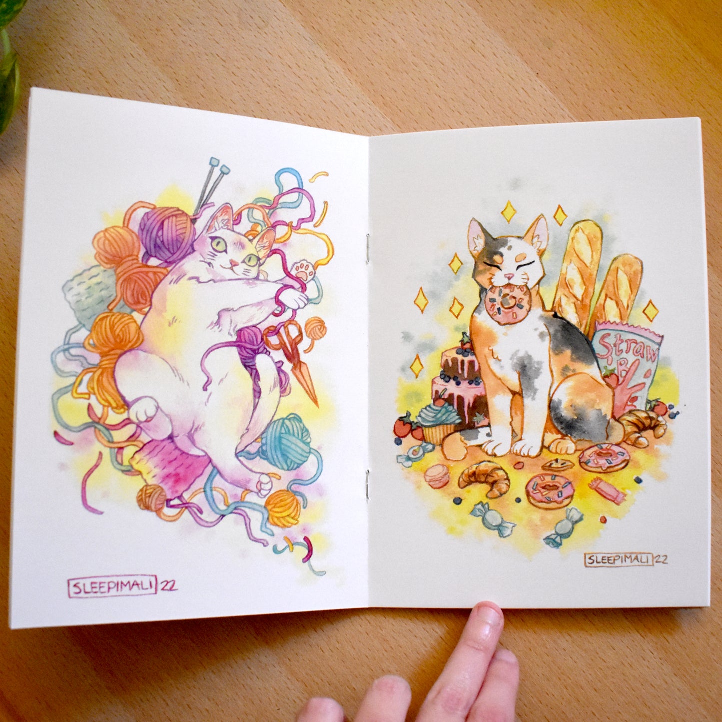 SleepiMali Watercolour Zine